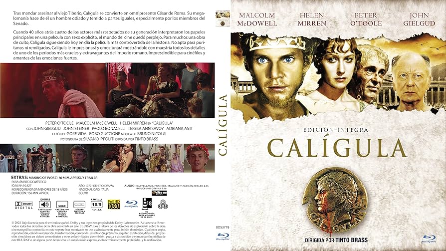 その他 Ligabue Campovolo [DVD] [Import] wwzq1cm Amazon.co.jp: Ligabue-Campovolo 2011-Il Film [Import] : DVD
